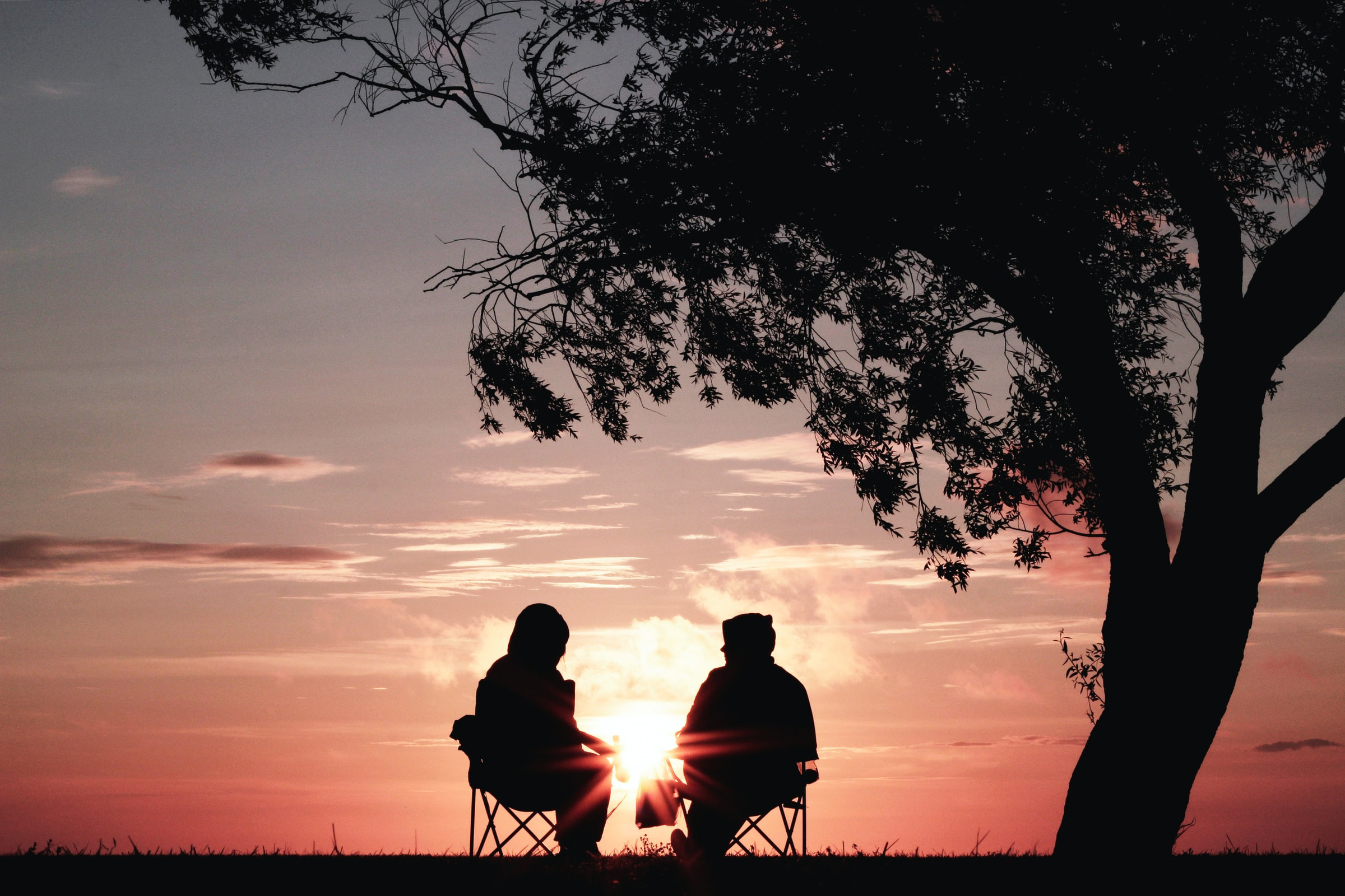 Two people talking in chairs under a tree at sunset